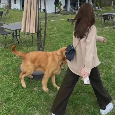 非常莉雅娜